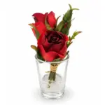نبض الورد رومانسية الجوري (Classic Red Rose Petit)