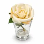 لمسة الوفاء كريم دي لا روز (Cream de la Rose)