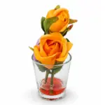 إشراقة الصداقة جولدن صن سيت (Golden Sunset Rose Petit)