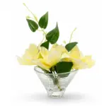 نقاء الماجنوليا همس الليمون (Lemon Whisper Magnolia)