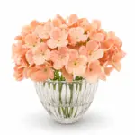 فخامة الأوركيد تنسيق ضي القمر (Lunar Glow Orchid Arrangement)