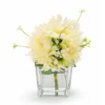 نقاء الطبيعة داليا بلانكا (Pure White Dahlia Cube)