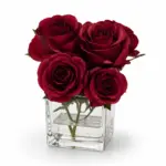 كلاسيكية الحب شغف الياقوت (Ruby Passion Roses)