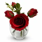 وعد الحب الروز المخملي (Velvet Promise Arrangement)